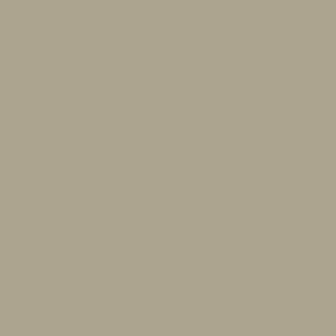 <p><span>PEWTER</span></p>