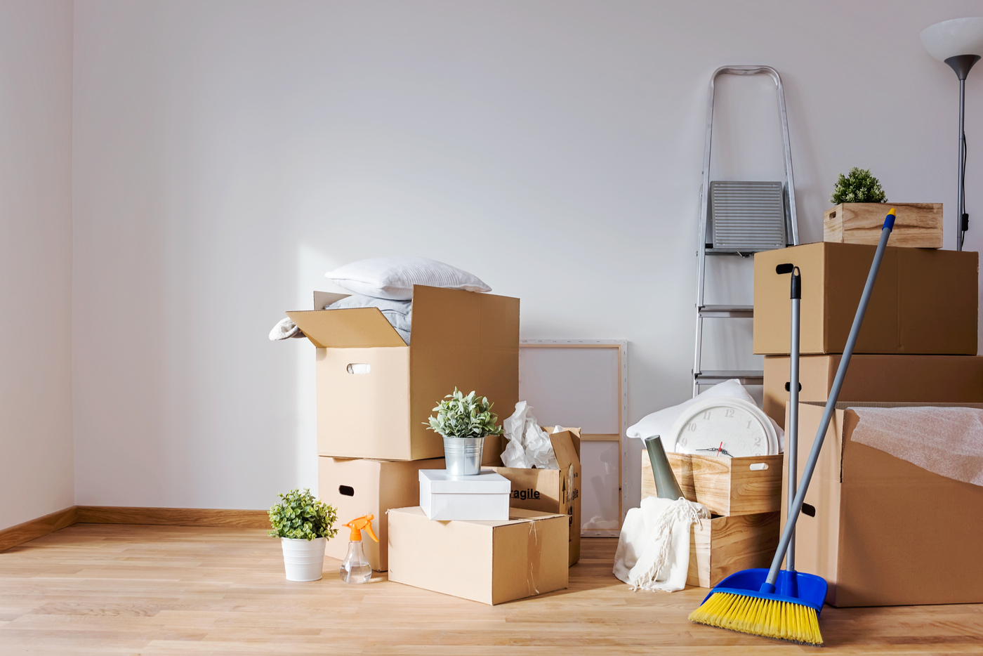 Section background image