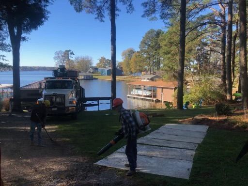 <p><strong style="color: rgb(57, 181, 74);">Take a Look at Our Recent Tree Projects</strong></p>