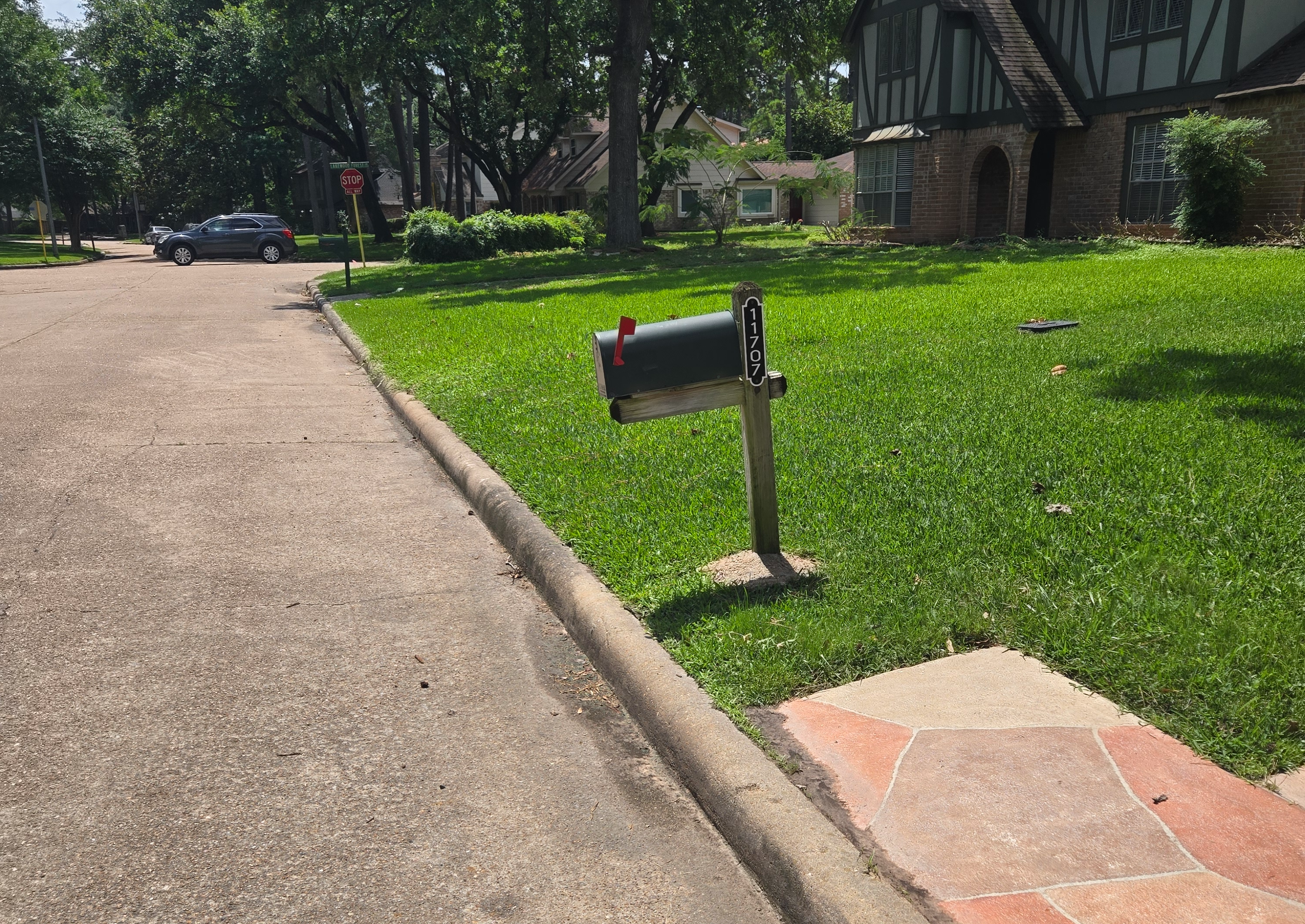 <p><span style="color: rgb(219, 178, 54);">Deck </span>And Fencing</p>