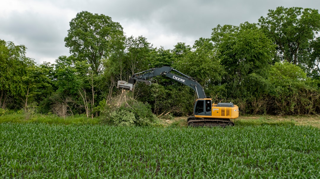 Section background image