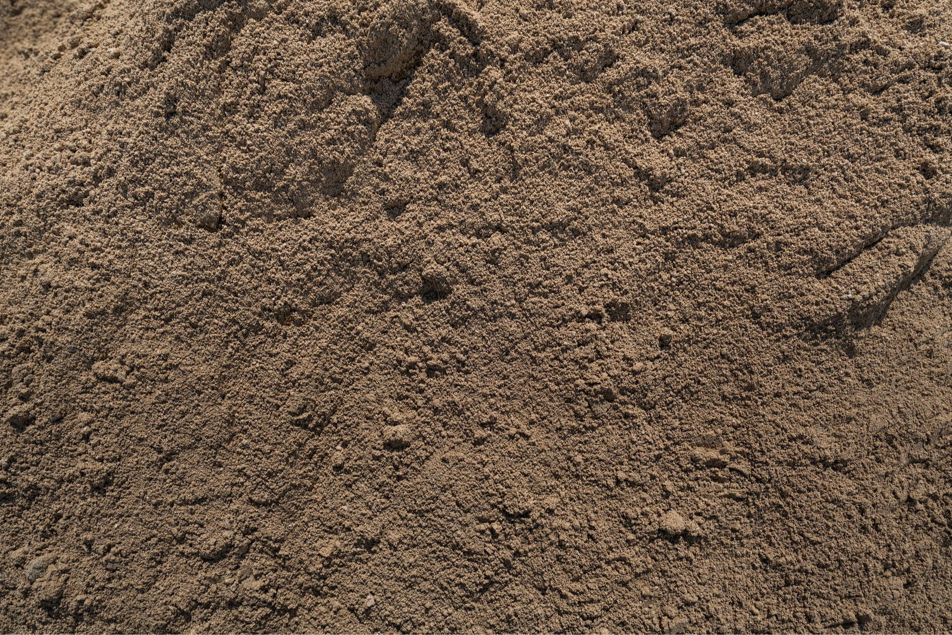 Section background image