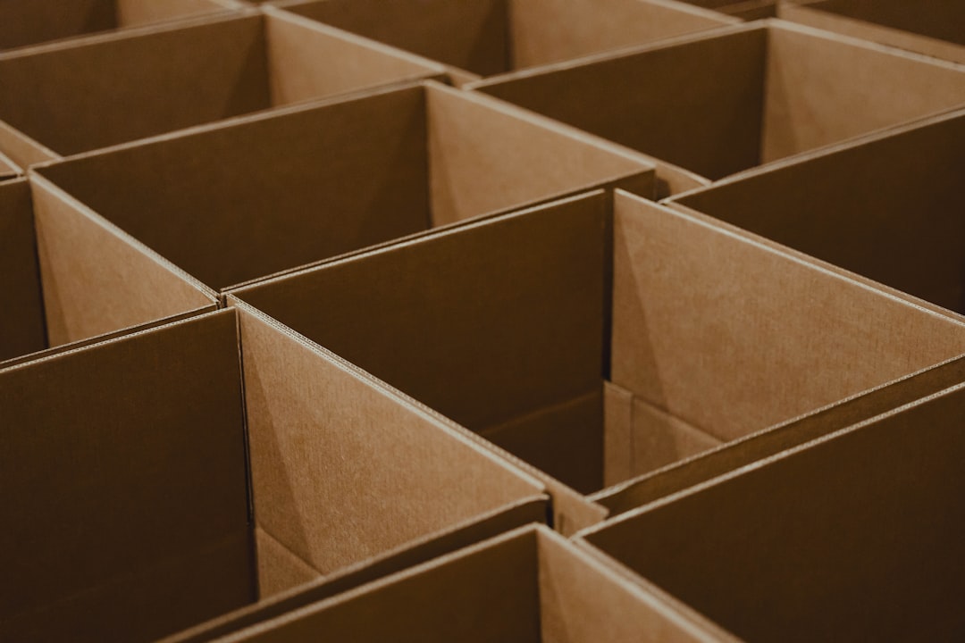 <p>Why Choose Our Moving Services?</p>