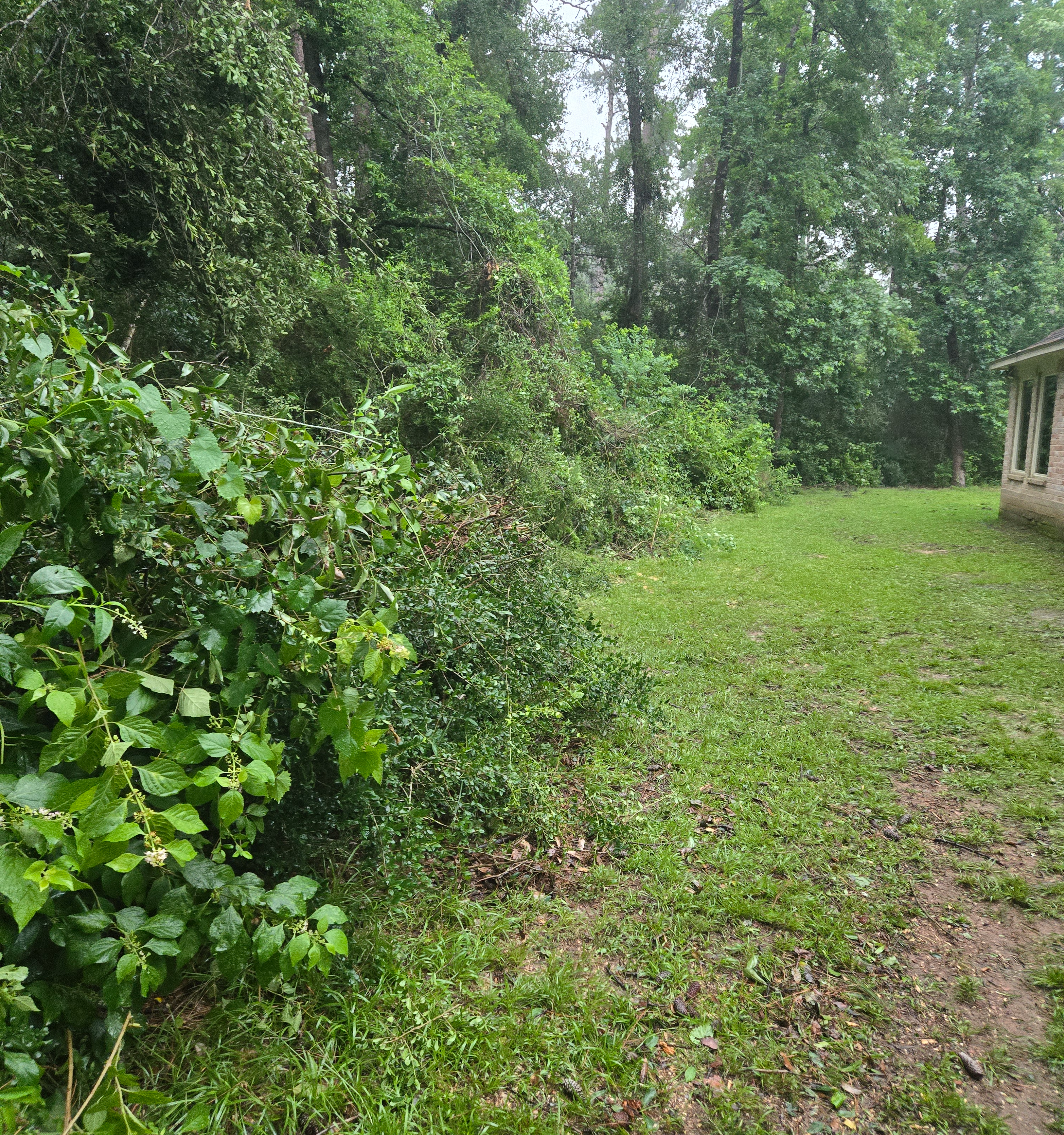 Section background image