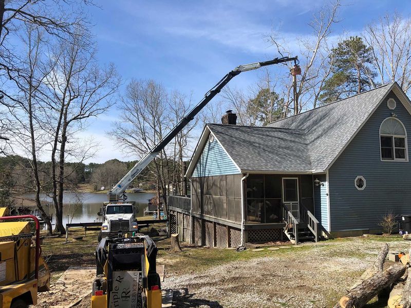 <p><strong style="color: rgb(57, 181, 74);">Take a Look at Our Recent Tree Projects</strong></p>