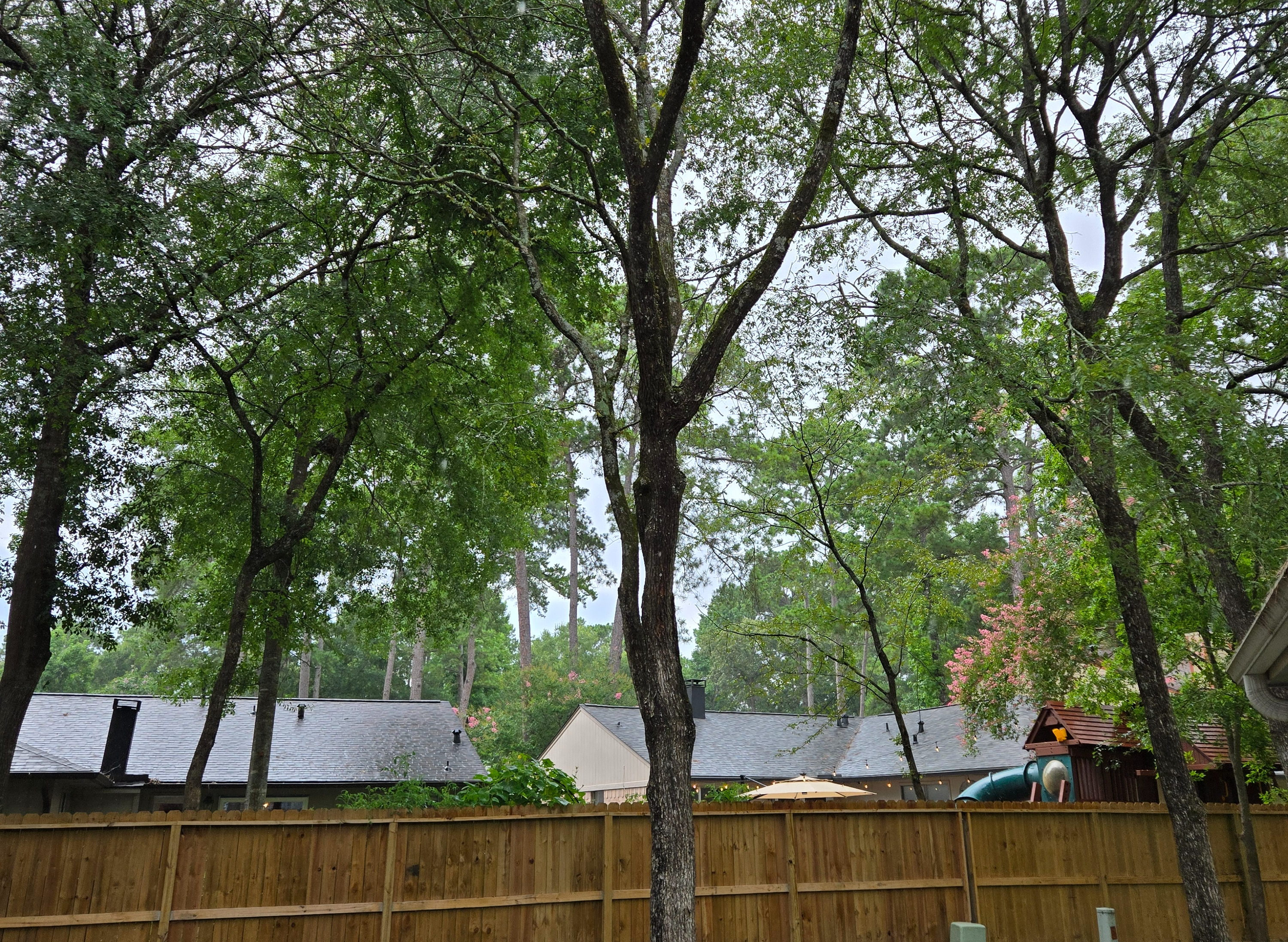 <p><span style="color: rgb(219, 178, 54);">Tree</span> Cabling</p>