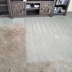 <p><strong style="color: rgb(36, 106, 177);">Carpet</strong></p>