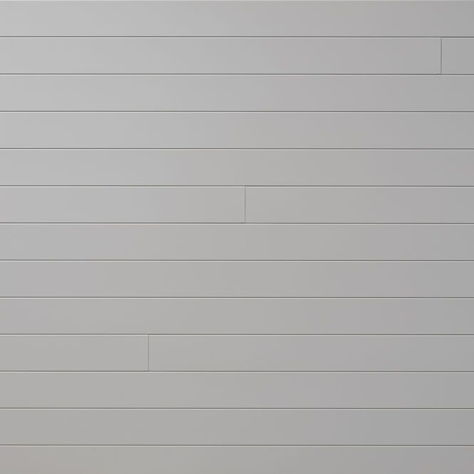 <p><span>SILVER LINING</span></p>