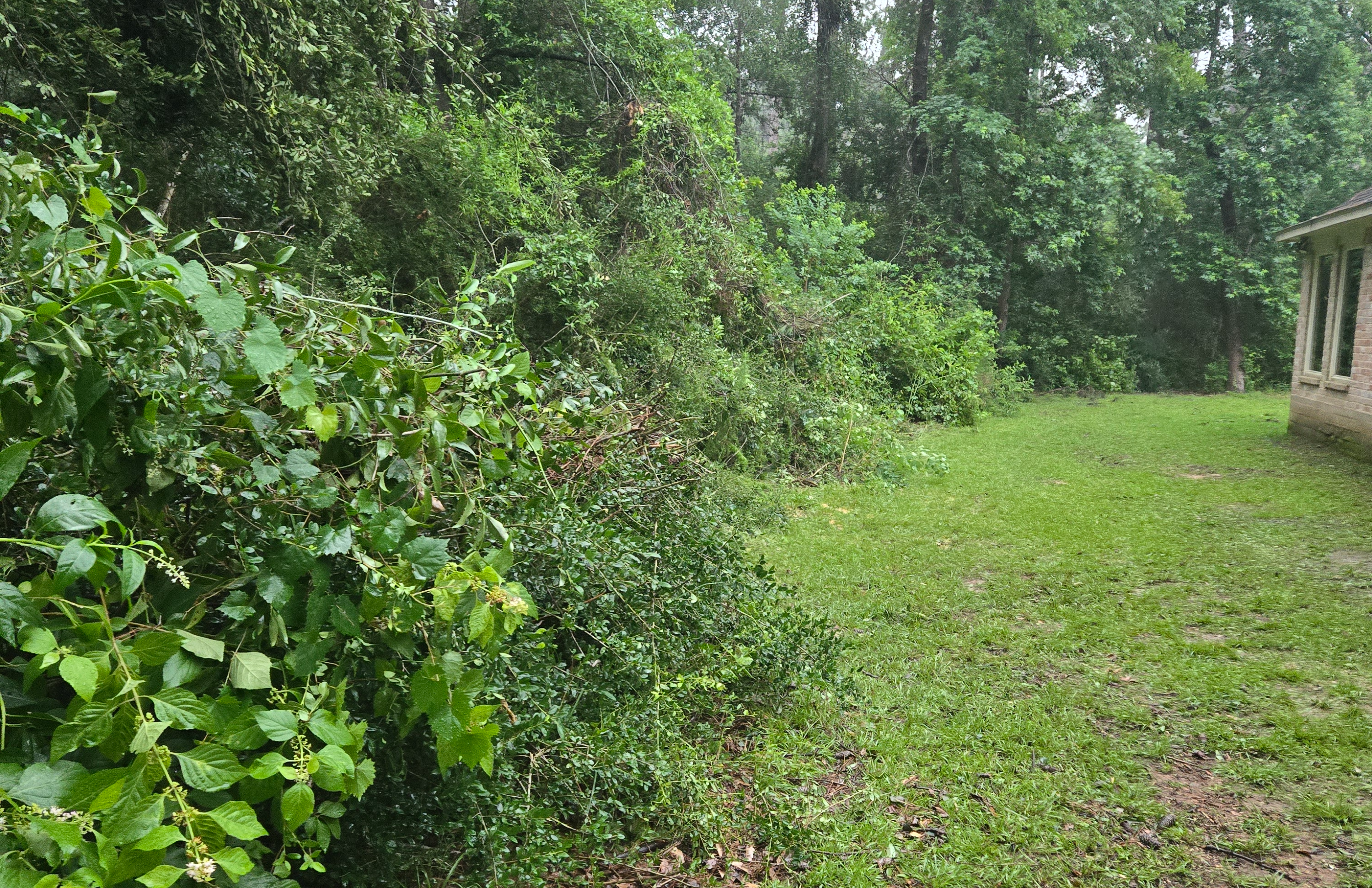 <p><span style="color: rgb(219, 178, 54);">Landscaping </span>Services</p>